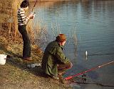 1978-ebass12