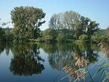 Ausflugsangeln-Sommerach04