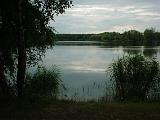 Nachtangeln06
