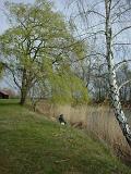 Anangeln02
