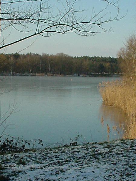 Januar-am-See12.jpg