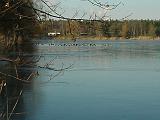 Januar-am-See07