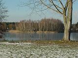 Januar-am-See09