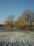 Januar-am-See10