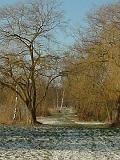 Januar-am-See11