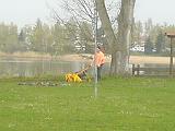 2006-Arbeitsdienst-12