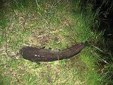 Juergen-Will-3Welse005