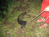 Juergen-Will-3Welse006