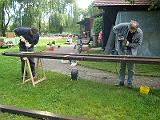 Arbeitsdienst-06