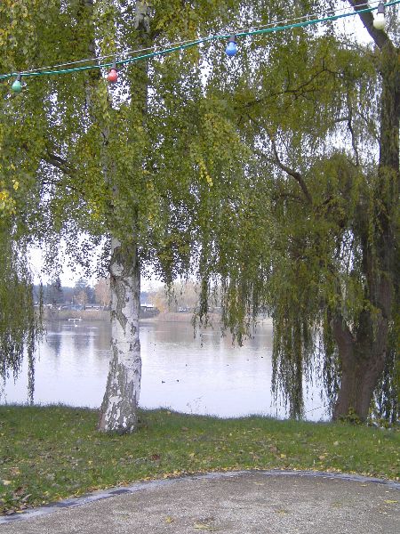 2009-11-08_Herbstbilder018.jpg