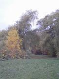 2009-11-08_Herbstbilder001
