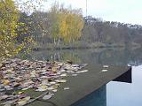 2009-11-08_Herbstbilder003