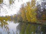 2009-11-08_Herbstbilder006