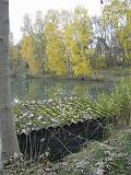 2009-11-08_Herbstbilder007