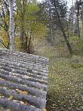 2009-11-08_Herbstbilder009