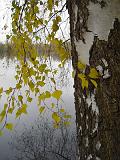 2009-11-08_Herbstbilder010