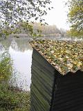 2009-11-08_Herbstbilder011
