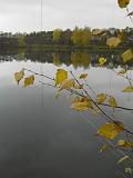 2009-11-08_Herbstbilder016
