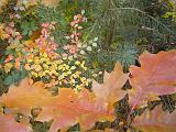 2009-11-08_Herbstbilder017