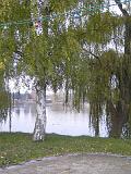 2009-11-08_Herbstbilder018