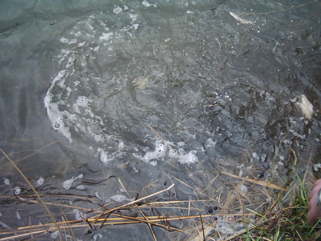 das-Wasser-brodelt2.jpg