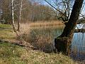2011_Angelplaetze002