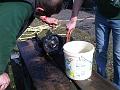 2011_Dreckspumpe011