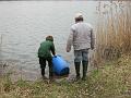 2011_Fruehjahrsbesatz002