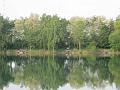 2011_Browning-Team055