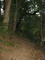 Amaliensee_1