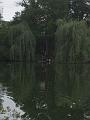 Amaliensee_4