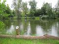 Amaliensee_7
