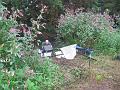 2011_09-Ausflugsangeln003