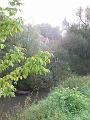 2011_09-Ausflugsangeln006
