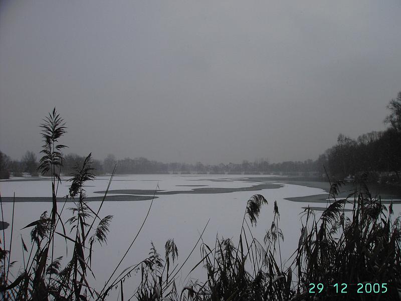 neu.JPG