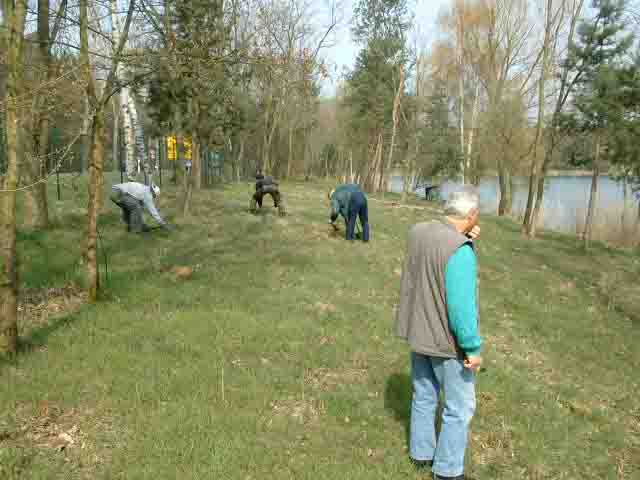 pflanzaktion03026.jpg
