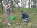 pflanzaktion03008